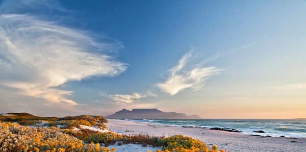 Table Mountain